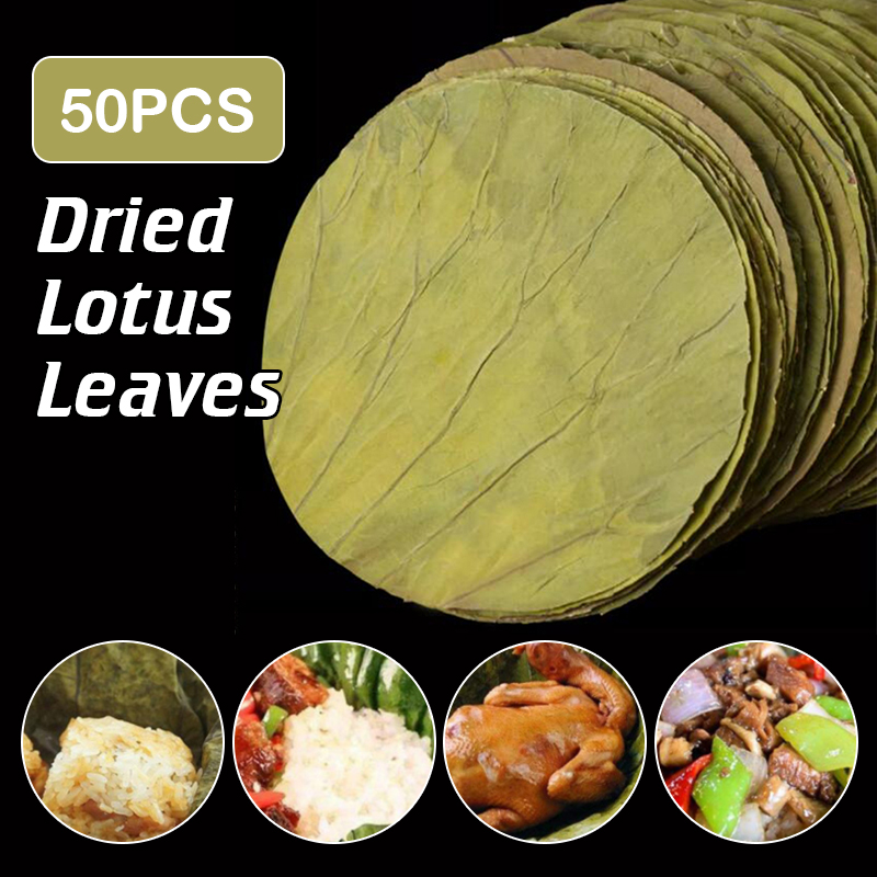 Interior Design Kitchen - 50Pcs 22cm Big Natural Dried Lotus